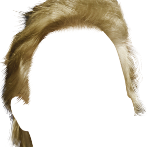 Hair wig PNG