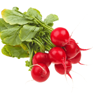 Radish PNG