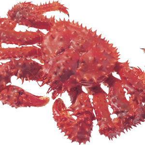 Crab PNG