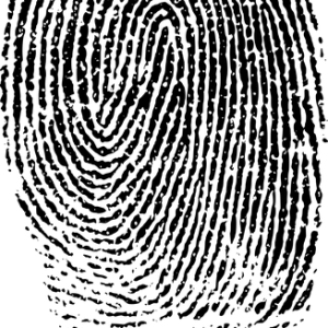 Fingerprint PNG