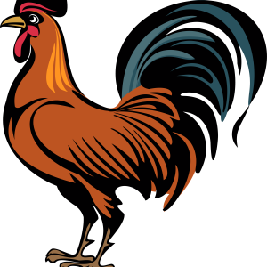 Cock PNG