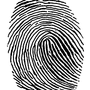 Fingerprint PNG