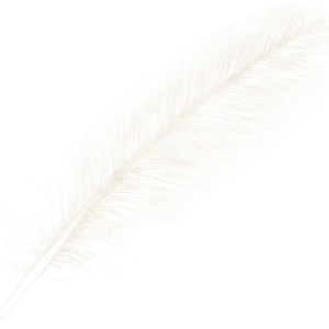 Feather PNG