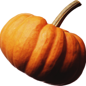 Pumpkin PNG