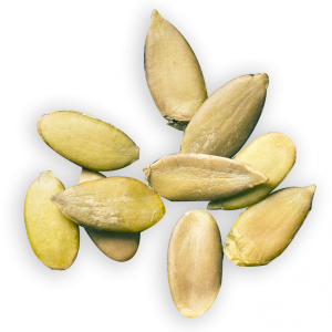 Pumpkin seeds PNG
