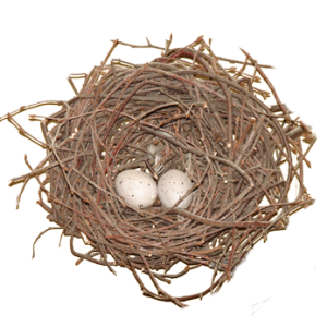 Nest PNG