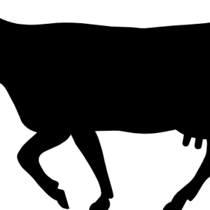 cow PNG