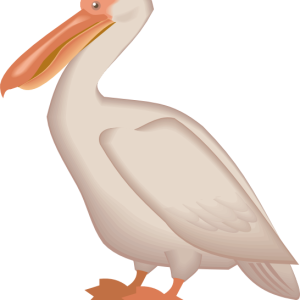 Pelican PNG