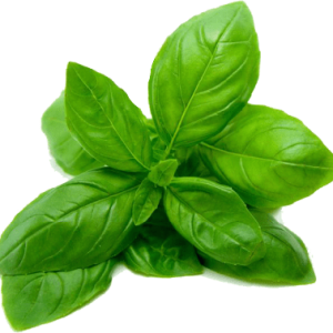 Spinach PNG