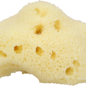 Sponge bath PNG