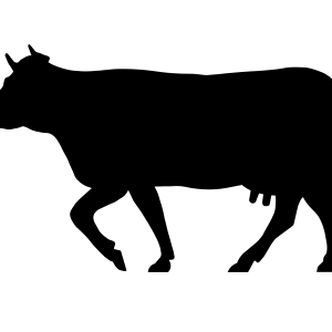 cow PNG