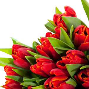 Bouquet flowers PNG