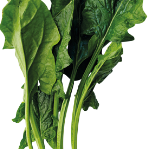 Spinach PNG