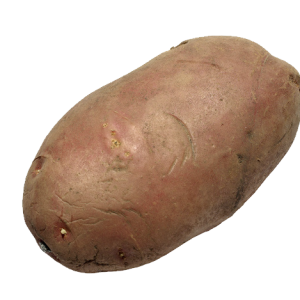 Potato PNG images