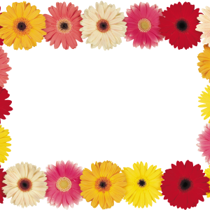 Floral frame PNG