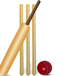 Cricket PNG