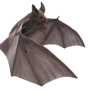 Bat PNG