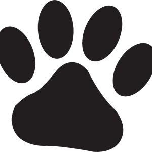 Paw PNG