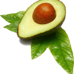 Avocado PNG