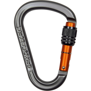 Carabiner PNG