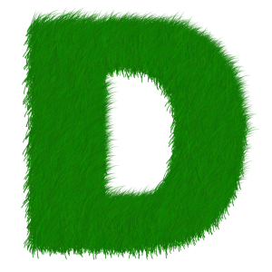 letter D PNG