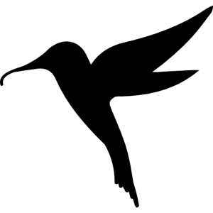 Hummingbird PNG