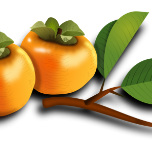 Persimmon PNG
