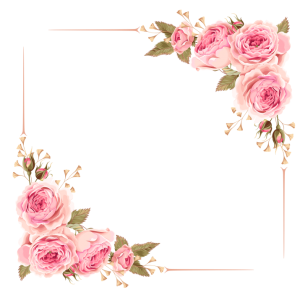 Floral frame PNG