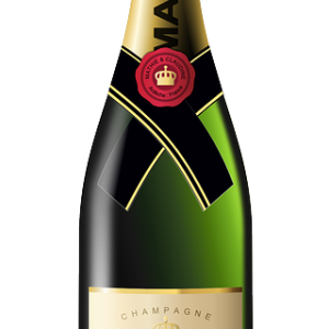 Champagne bottle PNG