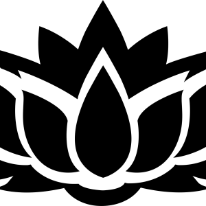 Lotus flower PNG