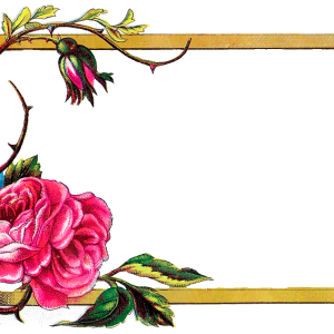Floral frame PNG