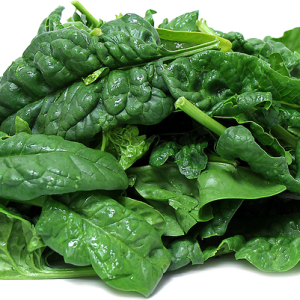 Spinach PNG