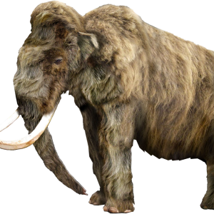 Mammoth PNG