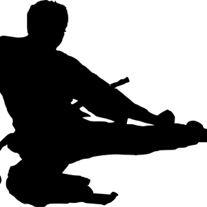 Karate PNG
