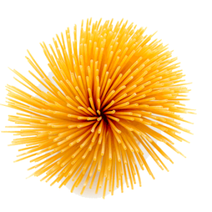 Pasta PNG