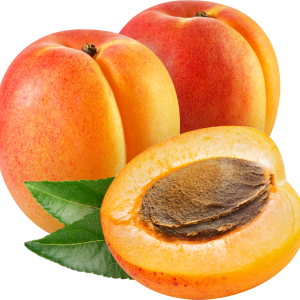 Apricots picture PNG