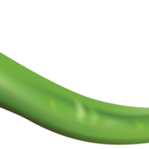 Chili pepper PNG