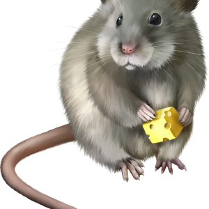 mouse, rat PNG image