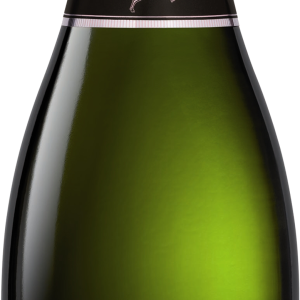 Champagne bottle PNG