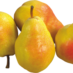 Pear PNG image