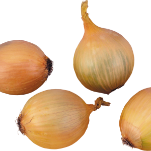 Onion PNG