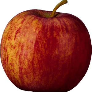 Apple PNG