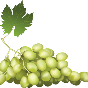 Grape PNG image