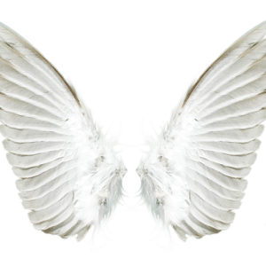 White angel wings PNG