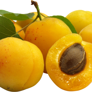 yellow Apricots PNG