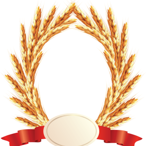 Wheat PNG