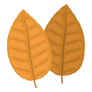 Tobacco PNG