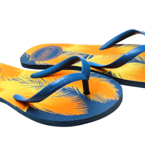 Flip-flops PNG