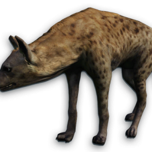Hyena PNG