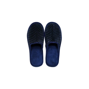 Slippers PNG